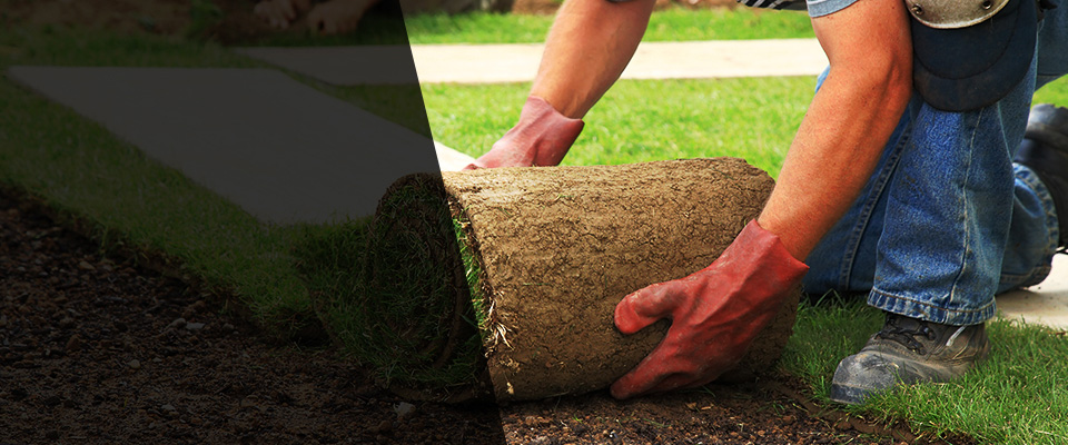 Sarver Landscapers